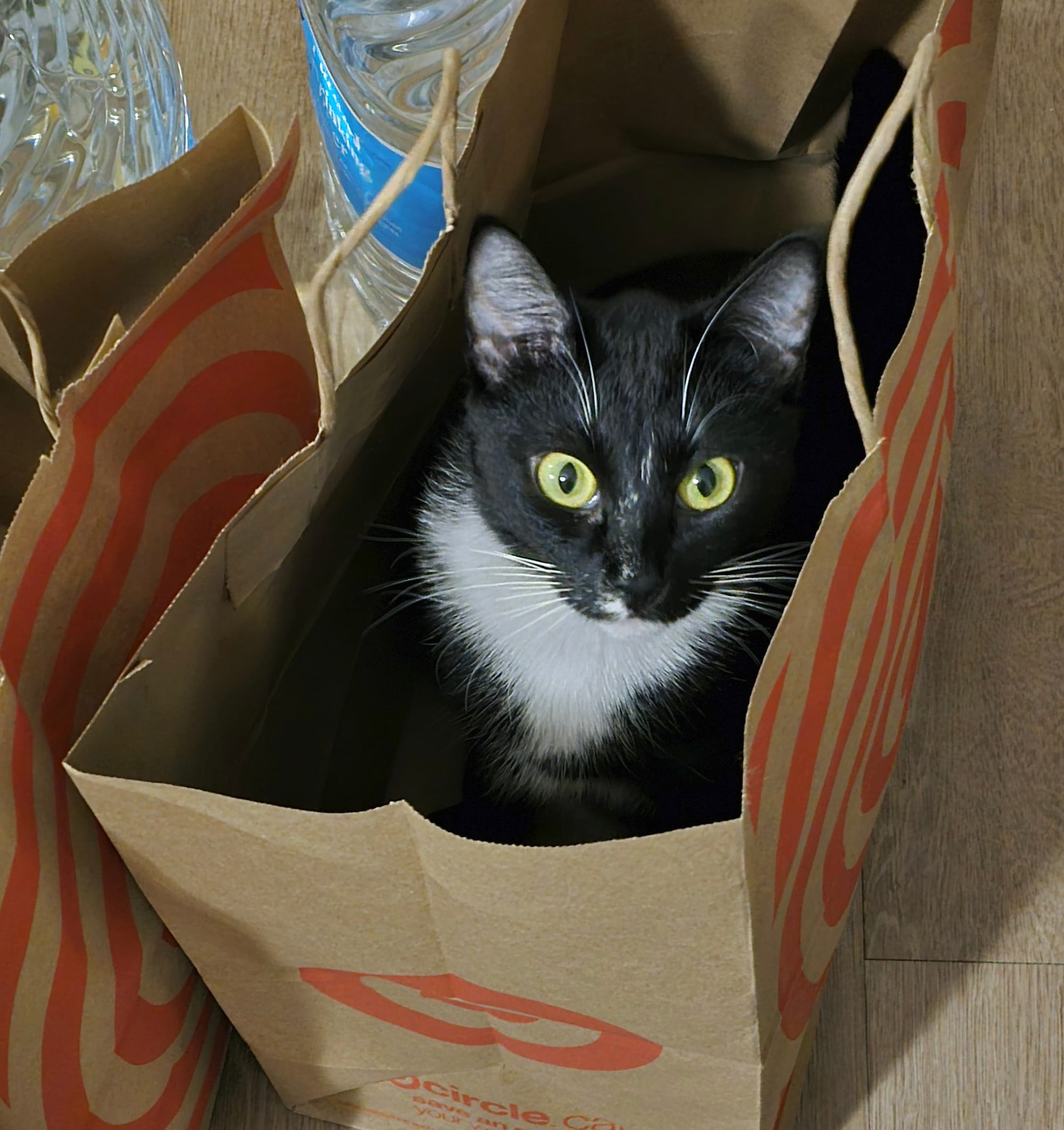 Local & National News