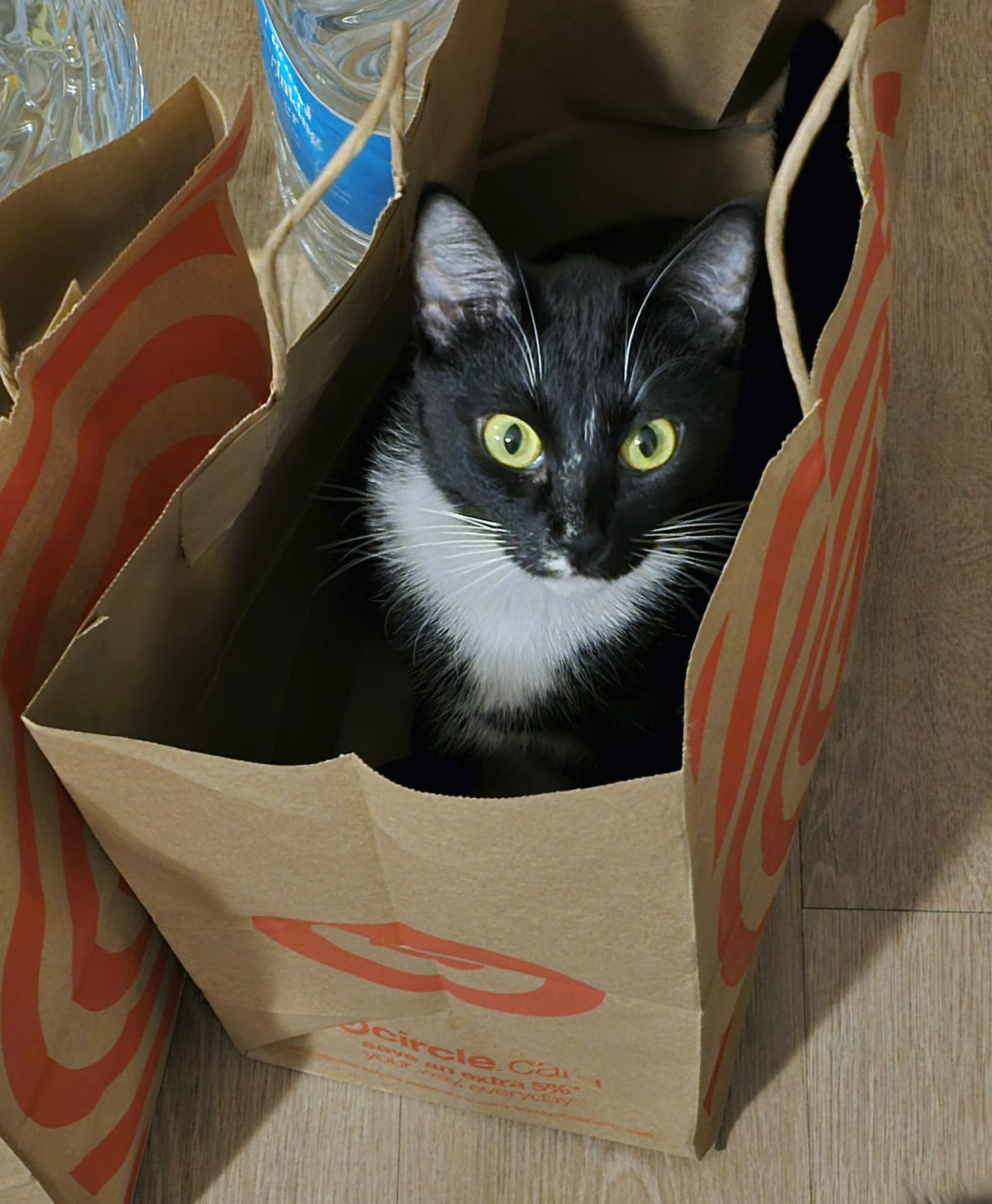 Local & National News