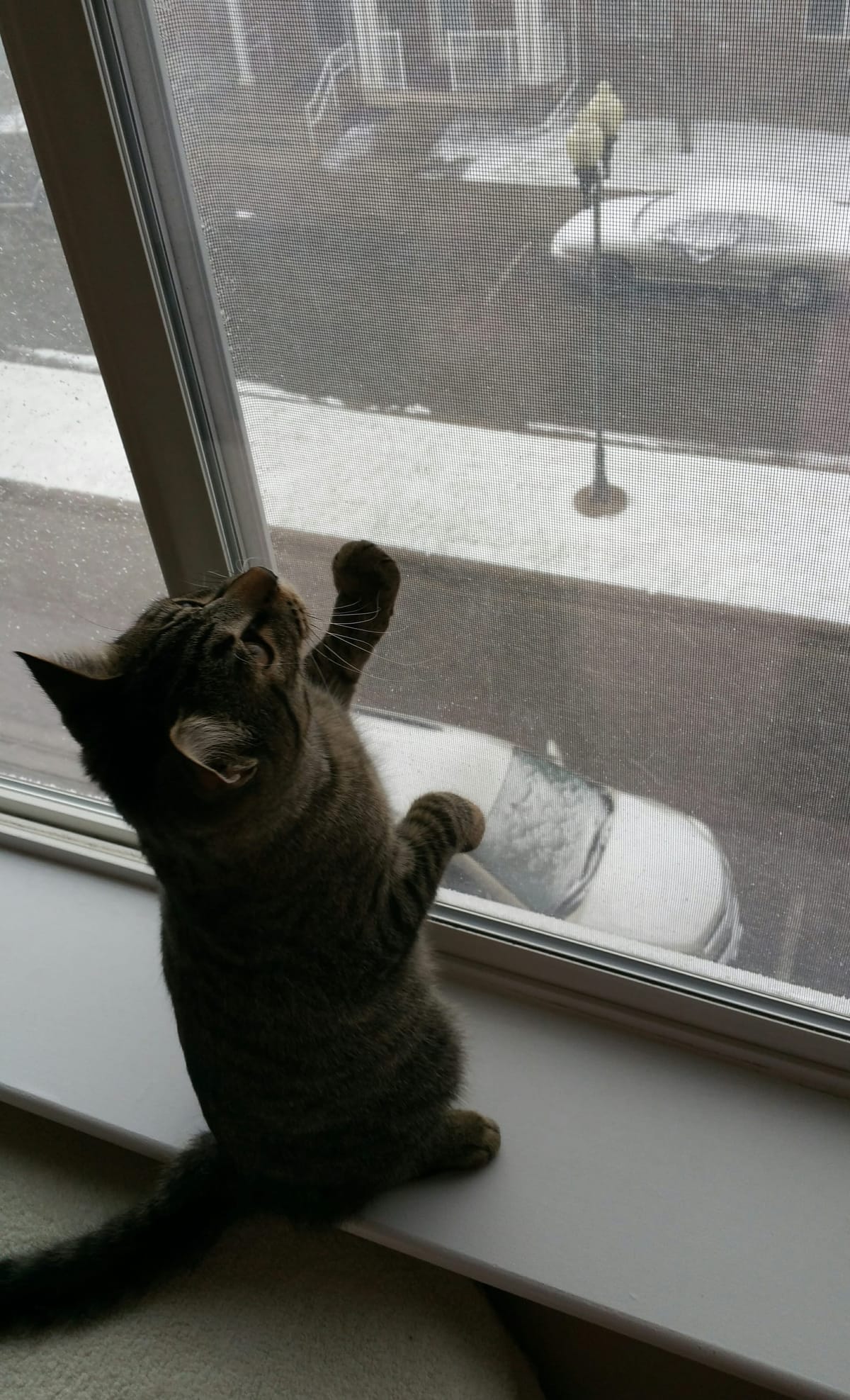 Seasonal Product Reviews