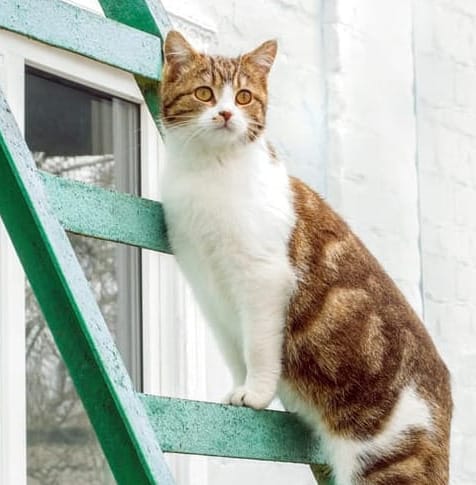 Seasonal Product Reviews