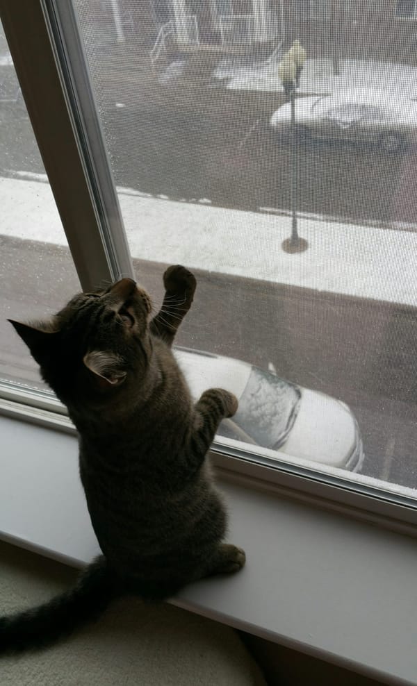 Seasonal Product Reviews